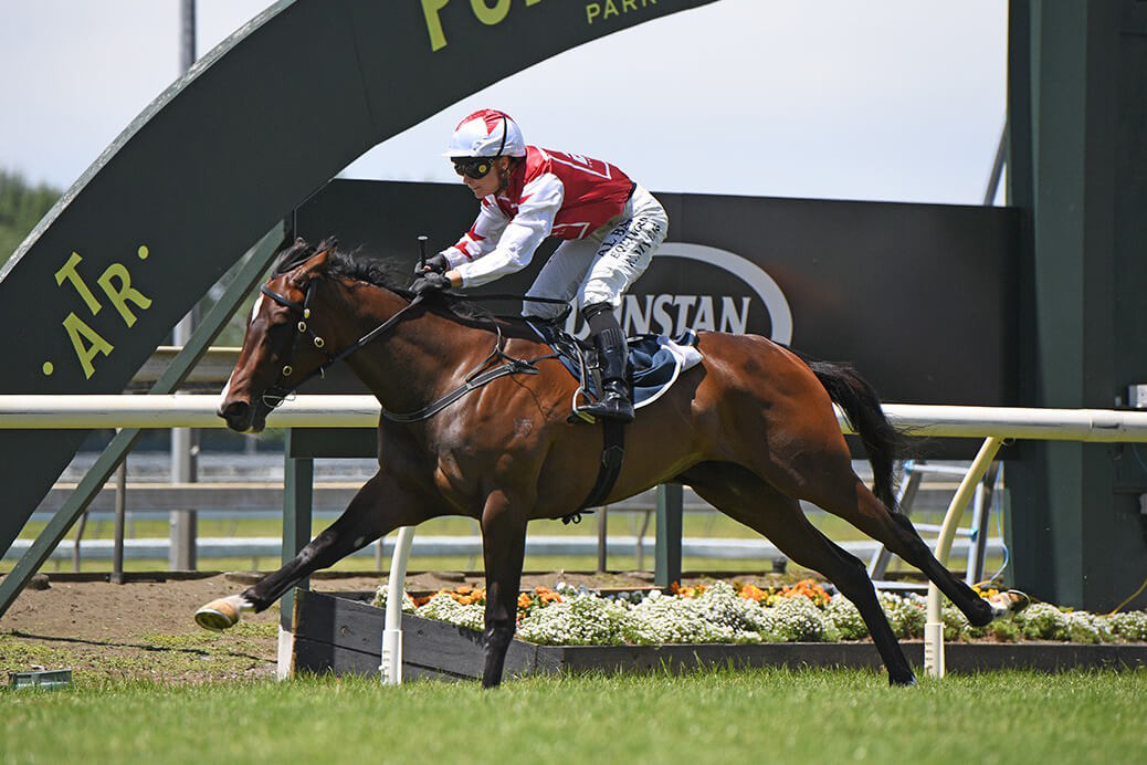 Stake Casino Interface Visual